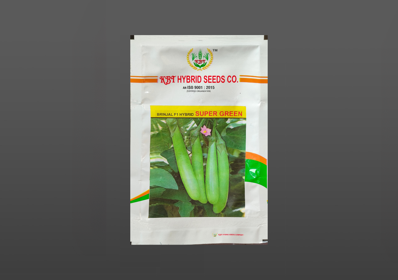 BRINJAL F1 HYBRID SUPER GREEN 10g